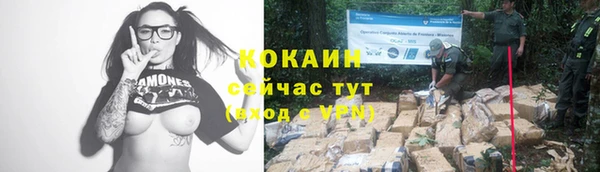 не бодяженный Богородицк