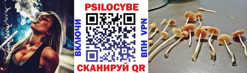 Галлюциногенные грибы Psilocybe  цена   MEGA   Верхотурье 